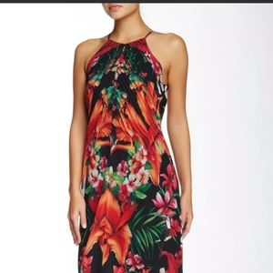 Ted Baker Tropical Bird Dress